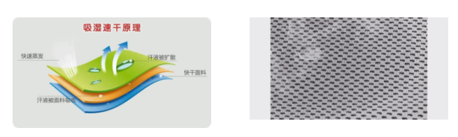 bwin必赢医用纺织